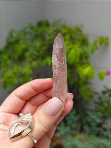 Lemuriano Rosa com Chave