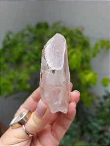 Lemuriano Rosa Canalizador