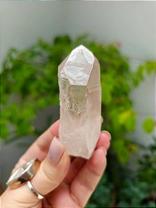 Lemuriano Rosa Canalizador