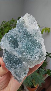 Drusa de Cristais com Ametista e Celadonita