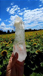 Templo Dévico Autocurado