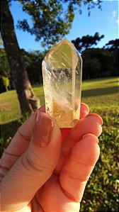 Quartzo Jardim com Clorita