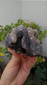Calcedônia