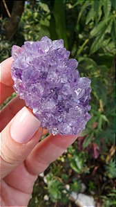 Flor de Ametista Uruguaia