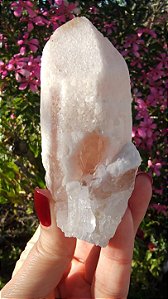 Pink Sugar