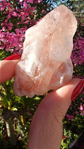 Pink Sugar