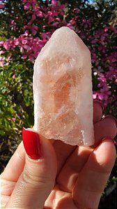 Pink Sugar