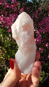 Pink Sugar
