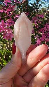 Pink Sugar