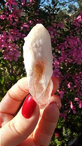 Pink Sugar
