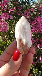 Pink Sugar