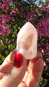 Pink Sugar