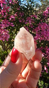 Pink Sugar