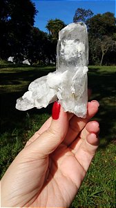Cristal Interferência com Albita Autocurado