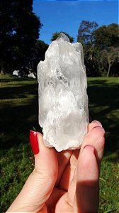Cristal Interferência com Albita