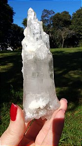 Cristal Interferência com Albita Autocurada