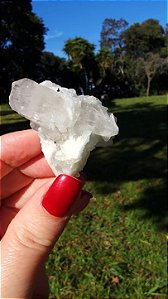 Cristal Interferência com Albita