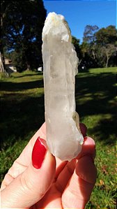 Cristal Interferência com Albita Autocurada