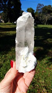 Cristal Interferência com Albita