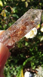 Cristal com Rutilo Carrapicho