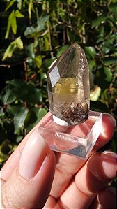 Quartzo com Inclusão de Rutilo de Cobre e Elo do Tempo Passado
