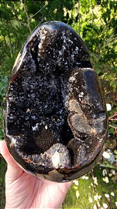 Septariana