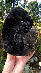 Septariana