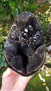 Septariana