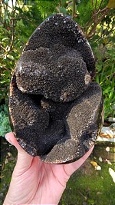 Septariana