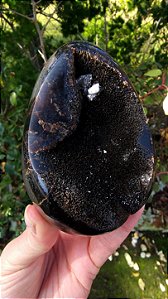 Septariana