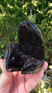Septariana