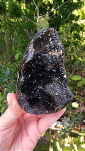 Septariana