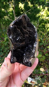 Septariana
