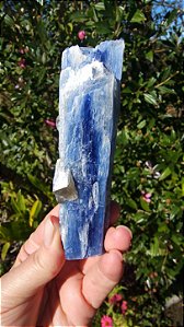 Cianita Azul com Quartzo