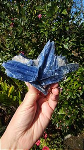 Cianita Azul com Quartzo