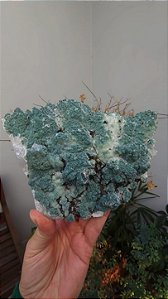 Drusa de Quartzo Coberta de Celadonita
