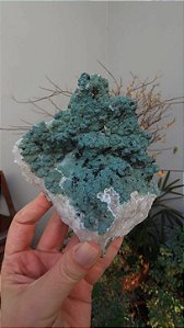 Drusa de Quartzo Coberta de Celadonita