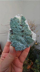 Drusa de Quartzo Coberta de Celadonita