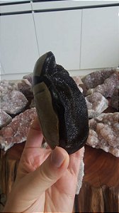 Septariana