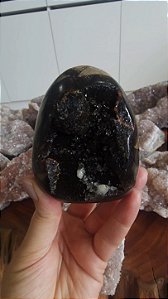 Septariana
