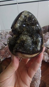 Septariana