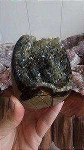 Septariana