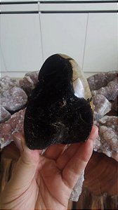 Septariana