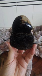 Septariana