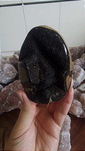 Septariana
