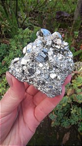 Pirita Peruana