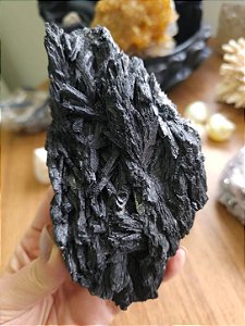 Cianita Negra - Vassoura de Bruxa