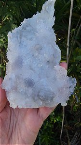 Flor de Cristal