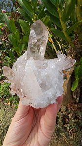 Drusa de Cristal Rosa