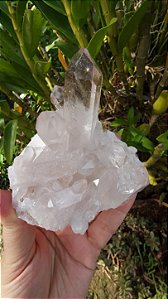Drusa de Cristal Rosa Ísis e Elos do Tempo